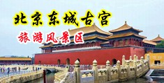 全网最大操鸡网络中国北京-东城古宫旅游风景区